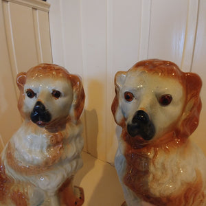 Paire de chiens en faïence anglaise Staffordshire XIXème siècle